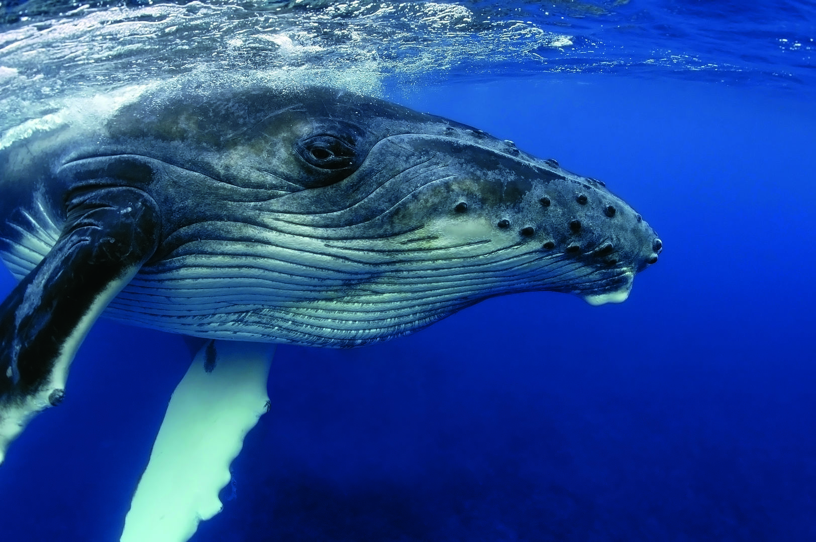 Aquarium Palma Parken