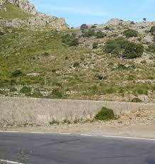 funicular puig major