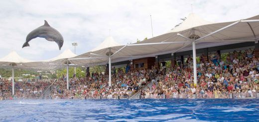 marineland mallorca