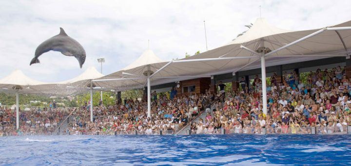 marineland mallorca