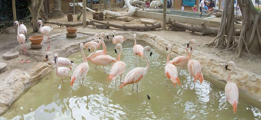 marineland mallorca