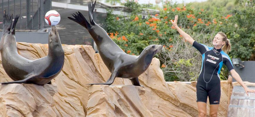 marineland mallorca