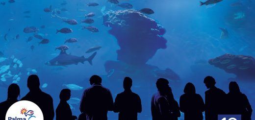 Big Blue 1-Palma Aquarium