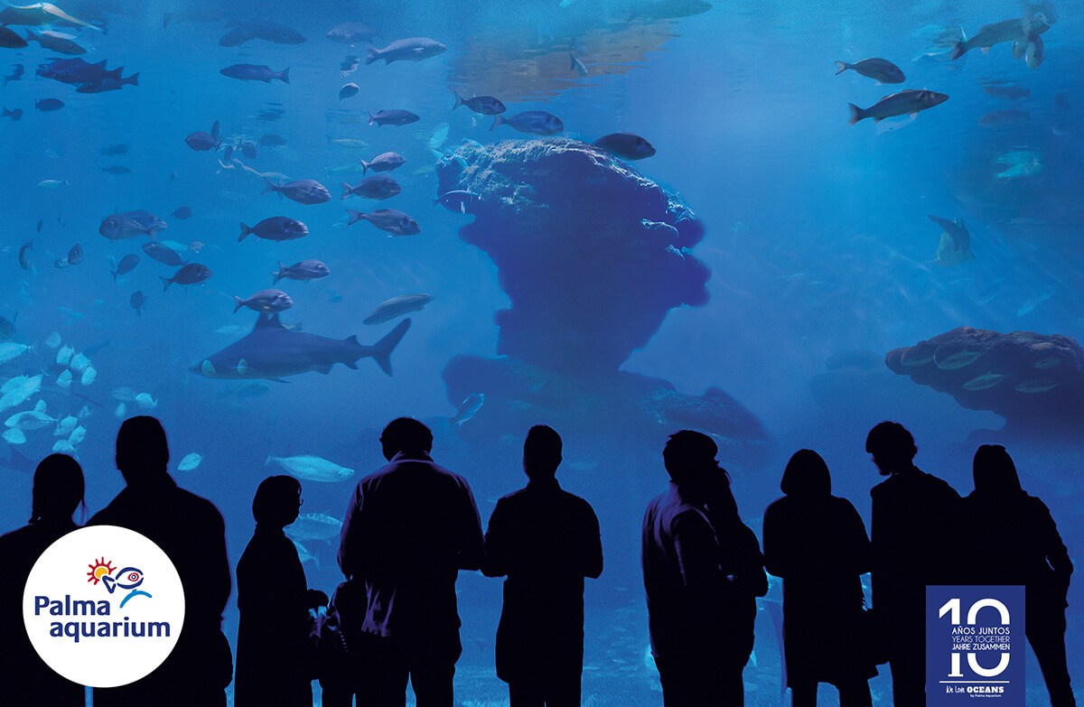 Big Blue 1-Palma Aquarium