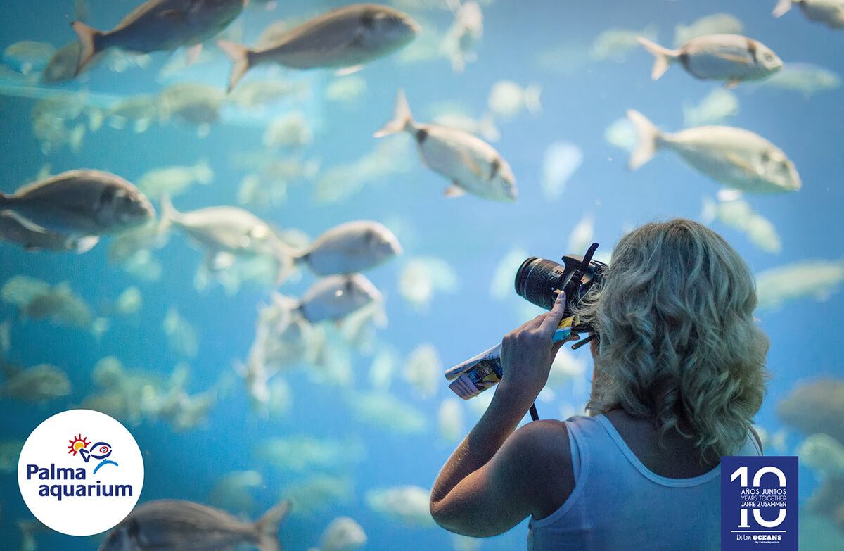 palma aquarium visita