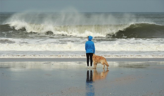 playas para perros en mallorca