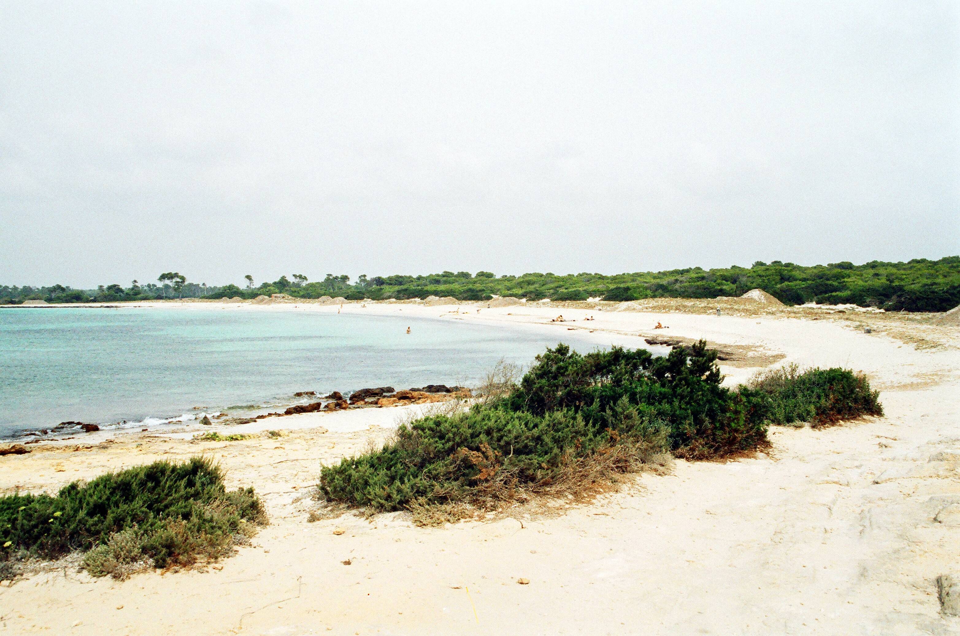 Destino de la ruta a pie desde Colonia de Sant jordi