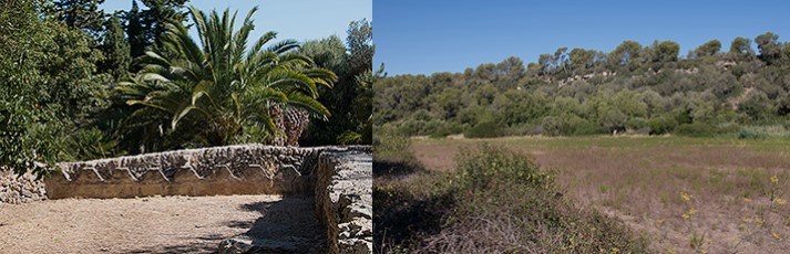 zona acampada son serra marina