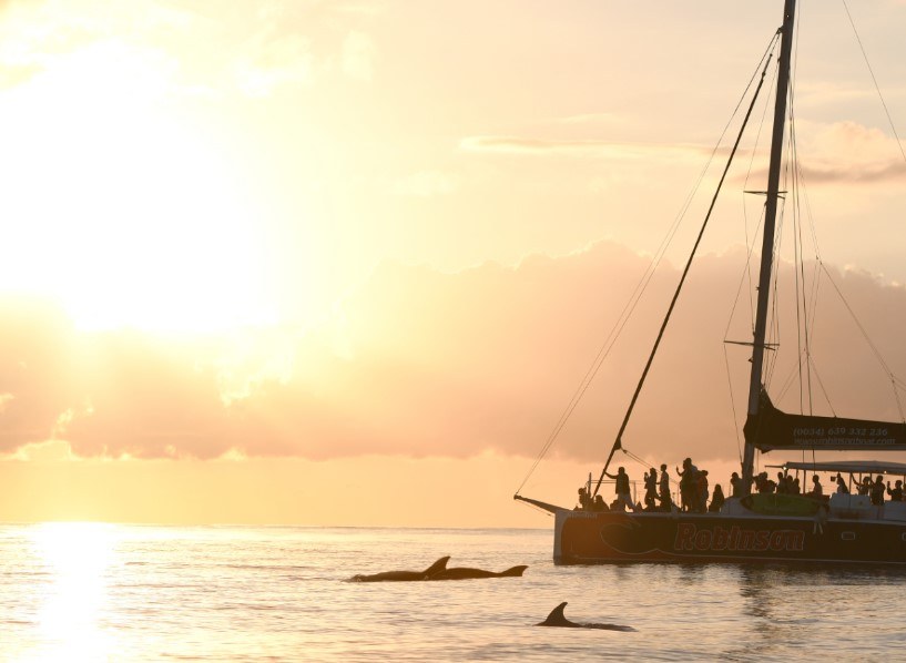 amanecer mallorca y avistamiento delfines en abril