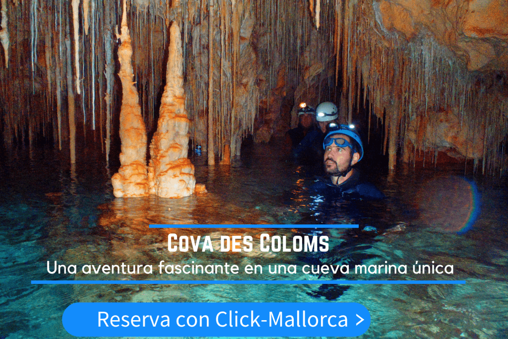 turismo activo en la cueva dels coloms