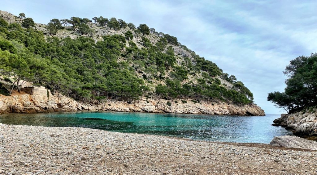 playa de cala murta