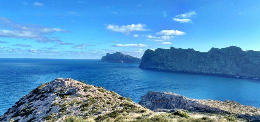 excursion niños corta mallorca