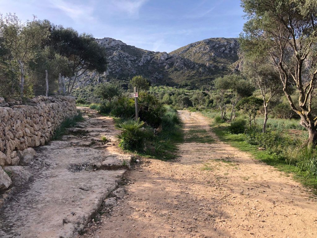 Sendero de la excursión