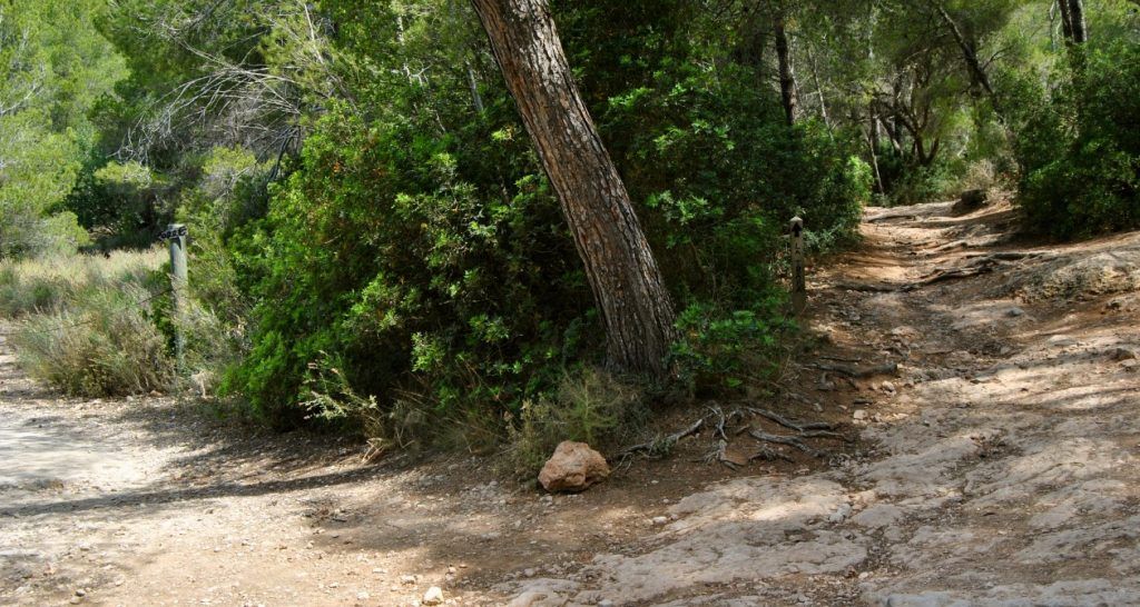 Sant Elm Pfad in la Trapa