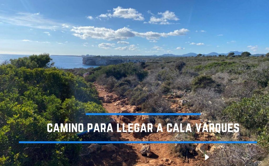 cómo llegar a cala Varques