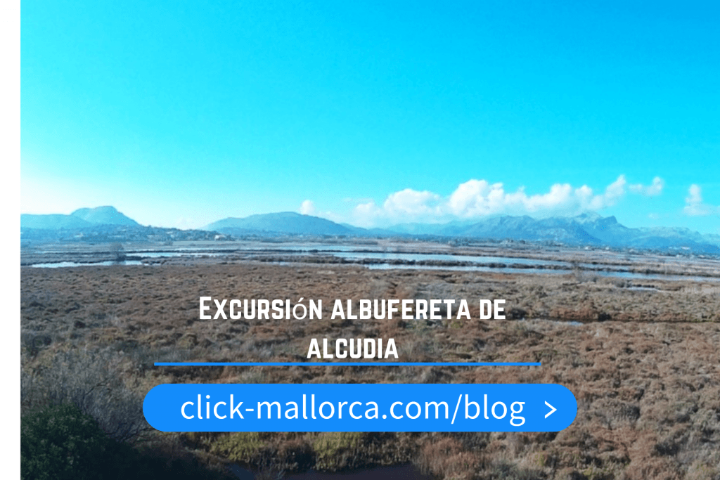 Excursión en Mallorca a la Albufereta