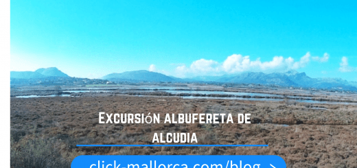 albufereta alcudia