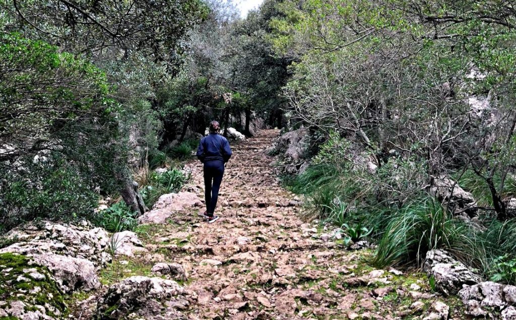 excursiones por Mallorca: Cometa dels Morts