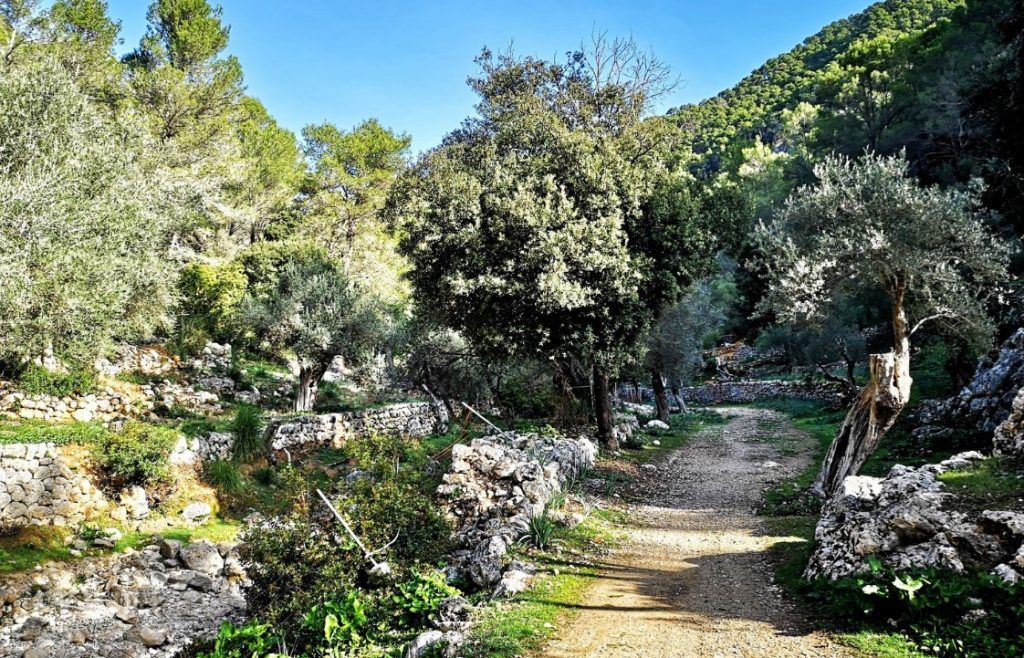 rutas cicloturismo mallorca