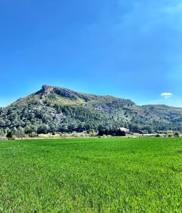 Excursiones de senderismo en mallorca a Son Fe