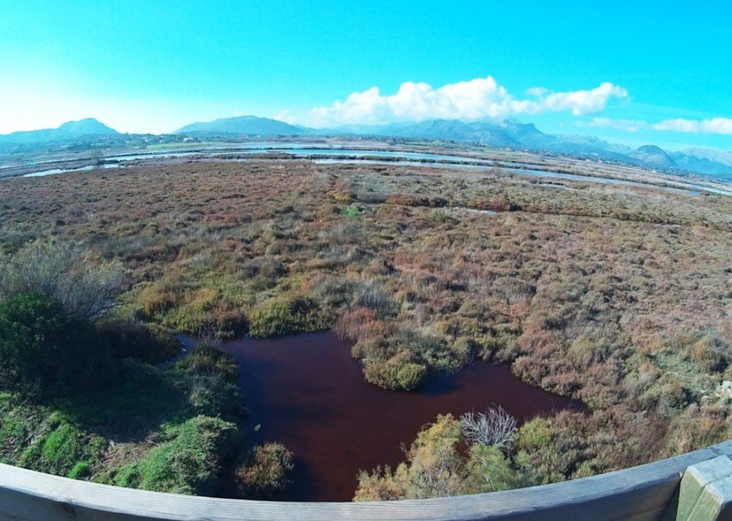 Torre para observar aves en Albufereta