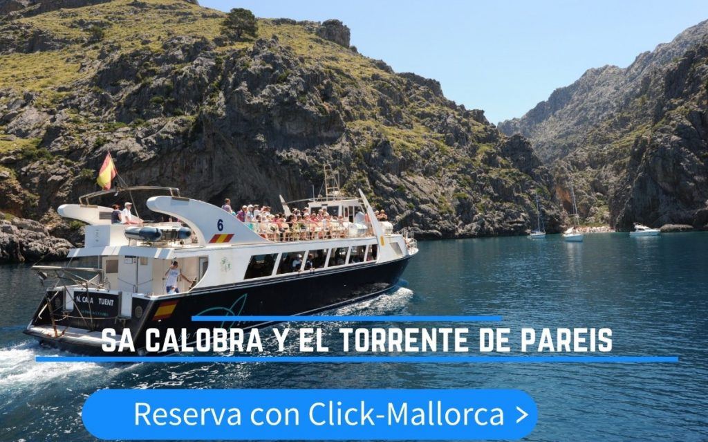 excursion en mallorca con playa a Sa Calobra