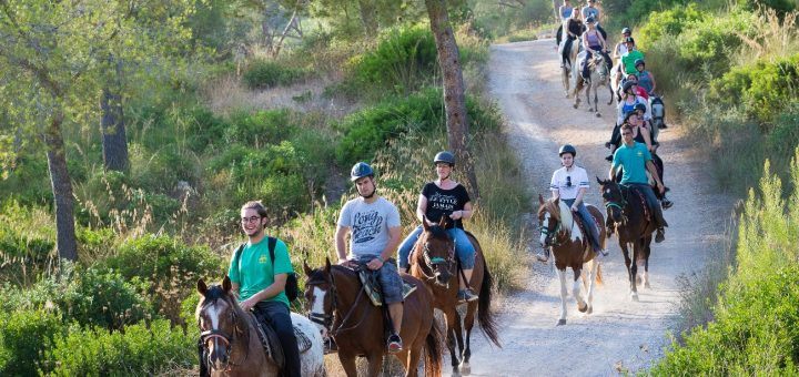 excursiones mallorca