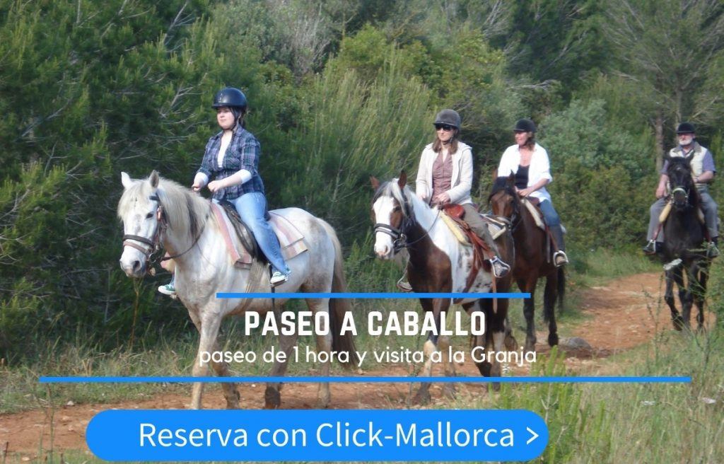 paseo a caballo facil en mallorca