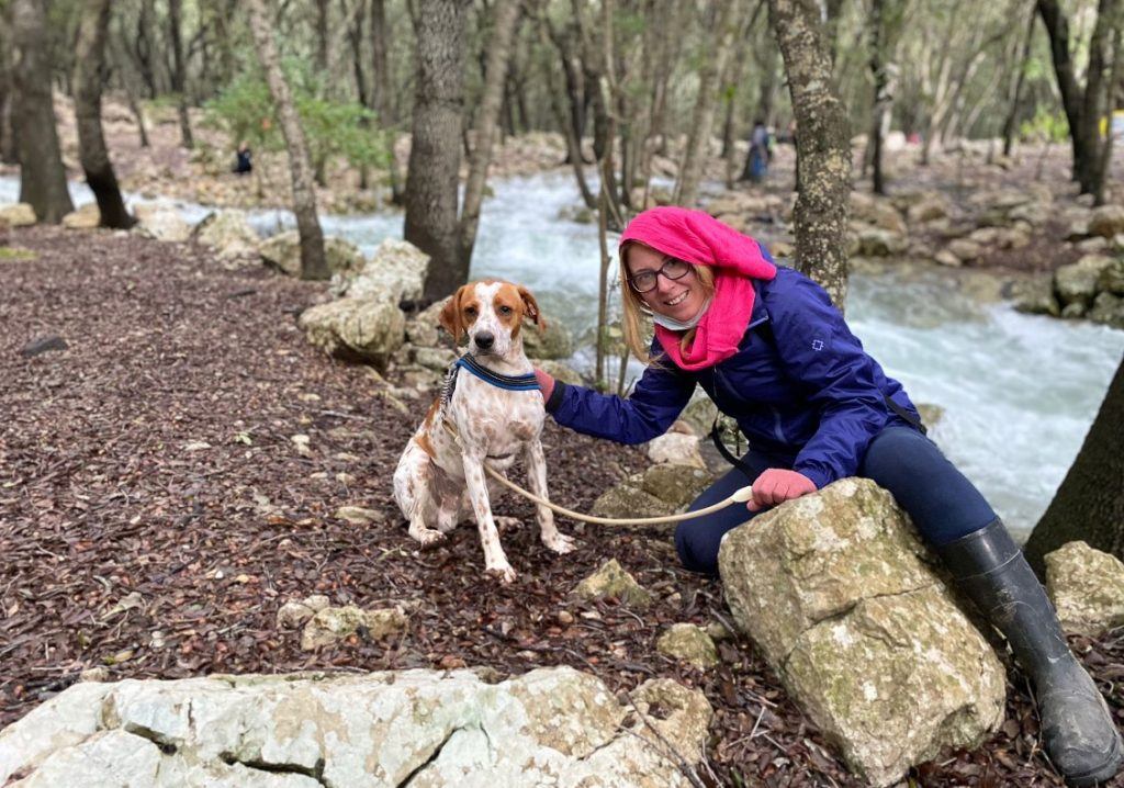 excursiones con perros en Mallorca