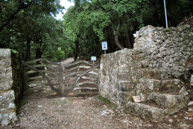 Inicio de la ruta al Puig des Teix