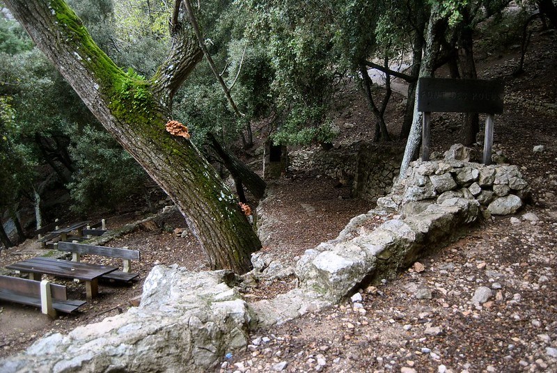 Area de descanso antes del puig des Teix