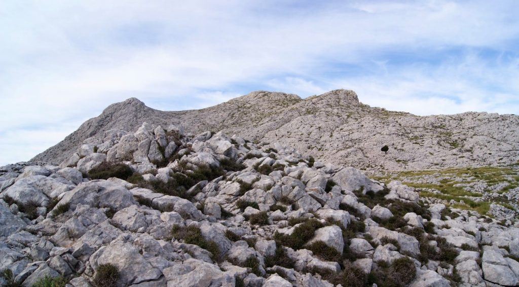 puig de massanella mountain