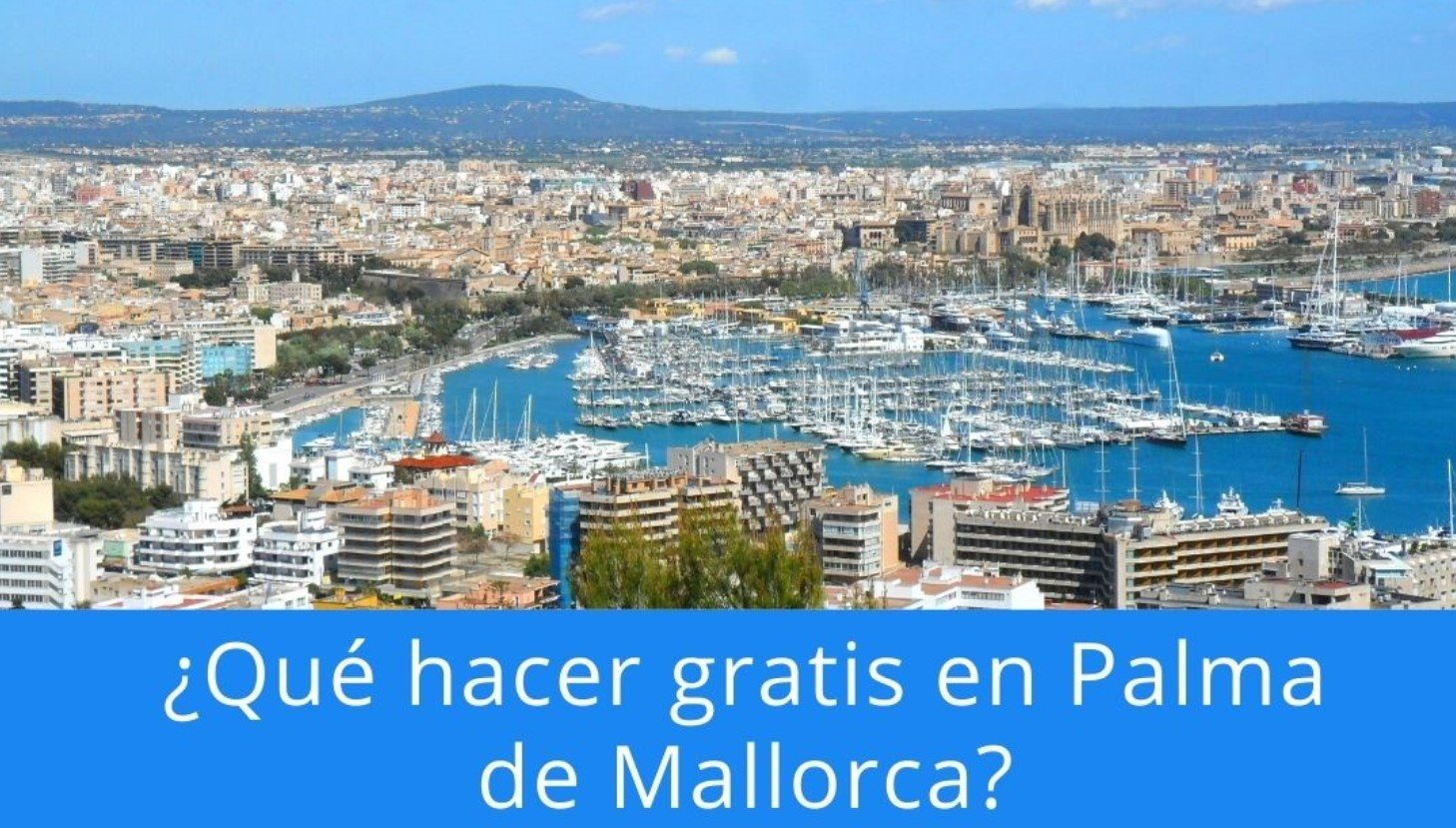 Interprete Están deprimidos Bonito Qué hacer gratis en Palma de Mallorca? | Click-Mallorca.com