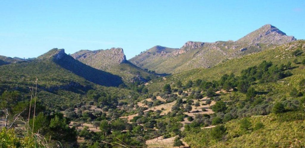 Parc natural de Llevant