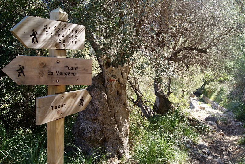 senderismo en la sierra de tramuntana a sa costera