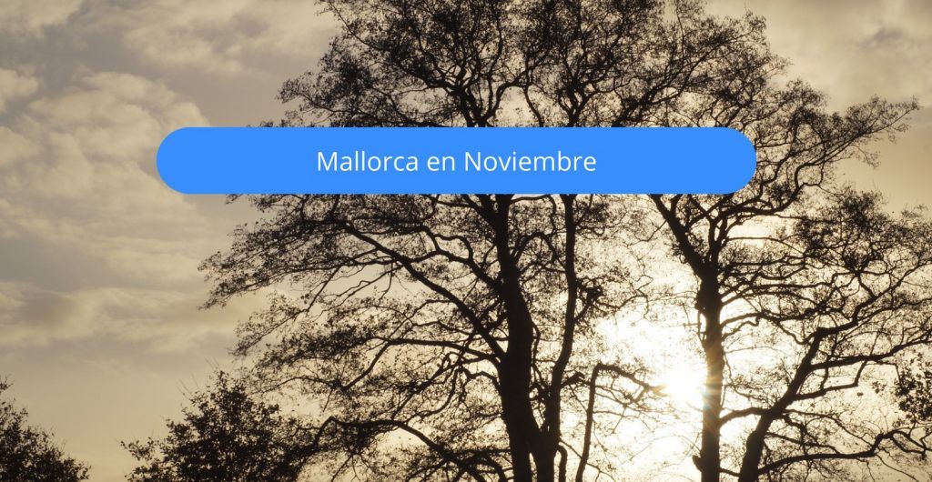 mallorca en noviembre en mallorca