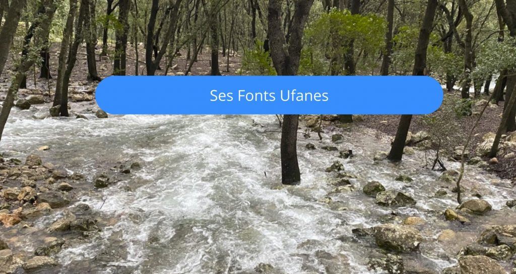 ses fonts ufanes