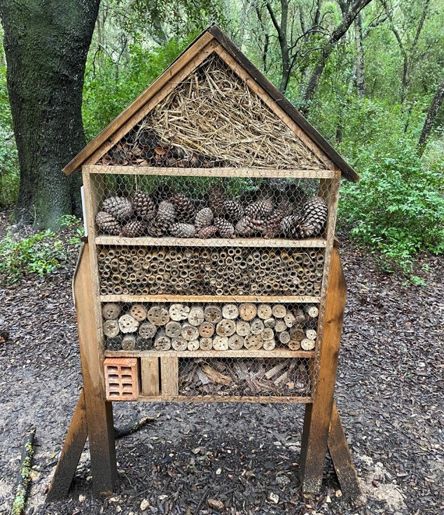 insect hotel at Ses Fonts Ufanes