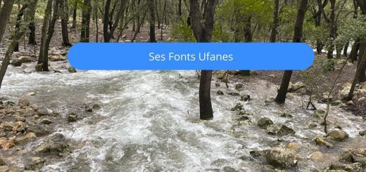 ses fonts ufanes