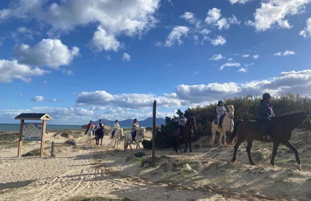 horse riding mallorca