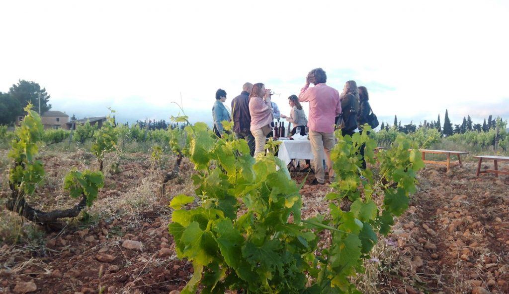 mallorca wine tour