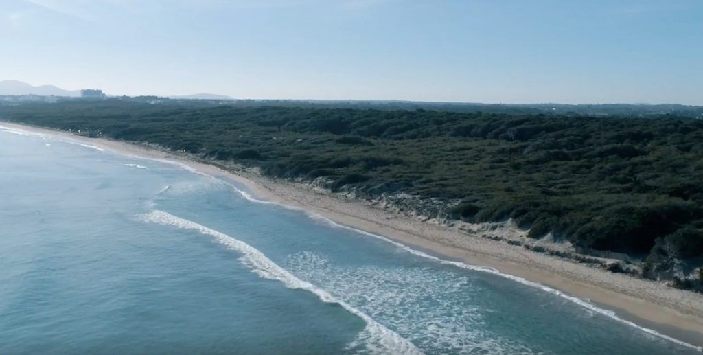 Es Comu, one of the beaches in playa de muro