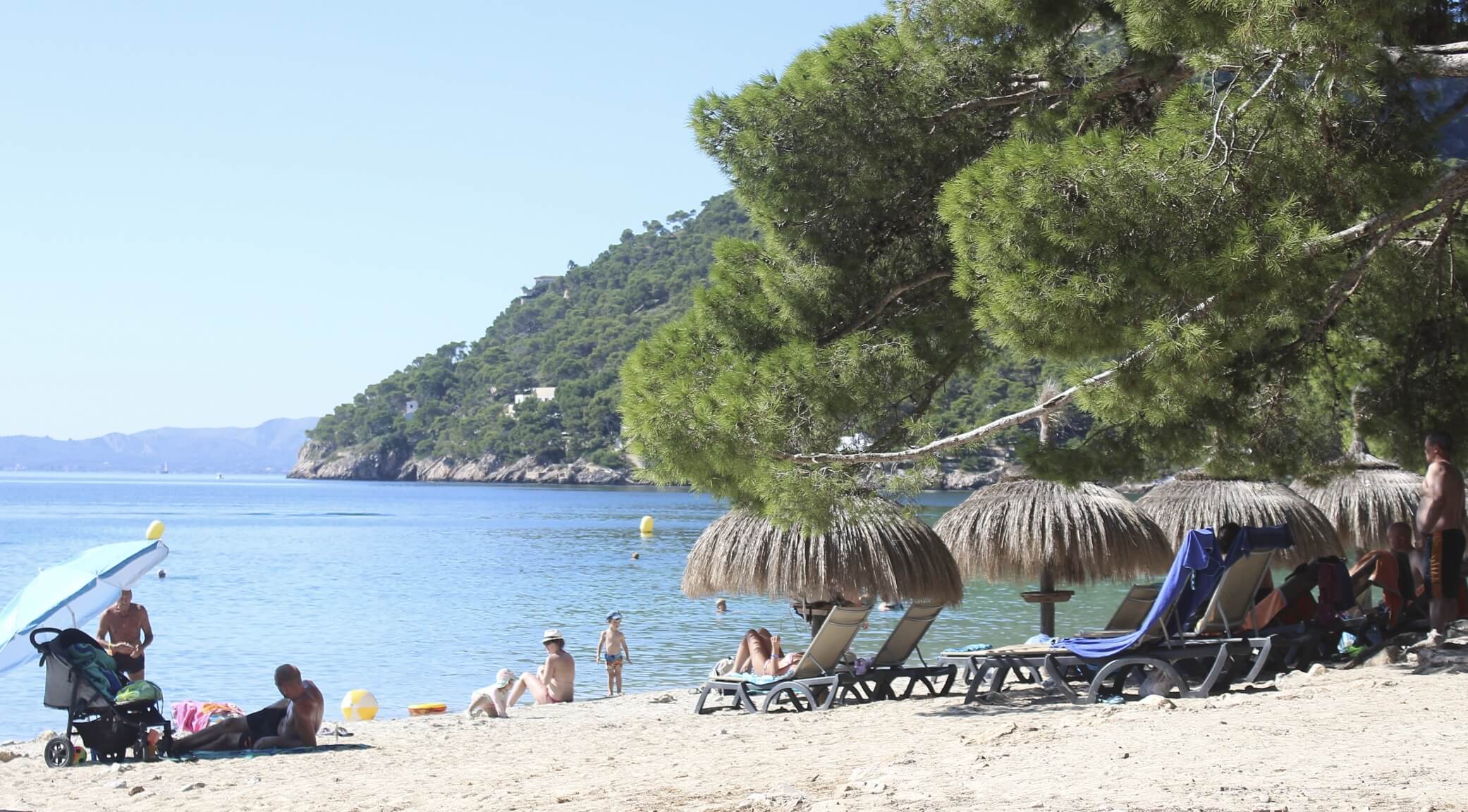 Formentor Beach in Mallorca with turquoise water and pine trees