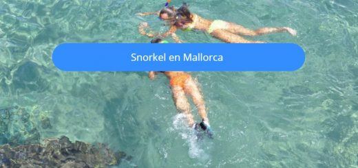 snorkel en mallorca