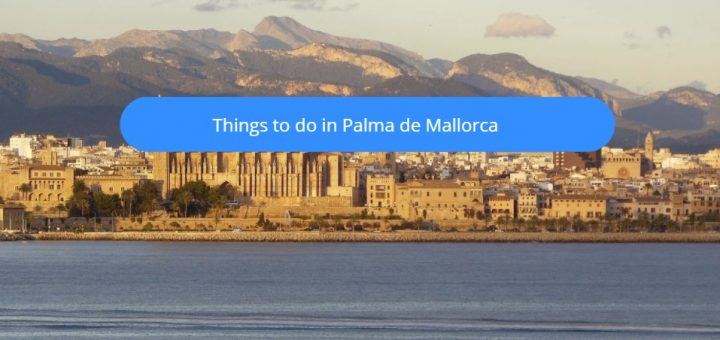 things to do in palma de mallorca