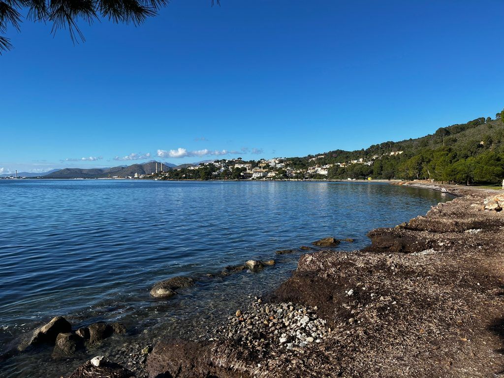 Playa de alcanada