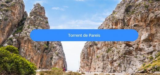 torrent de pareis