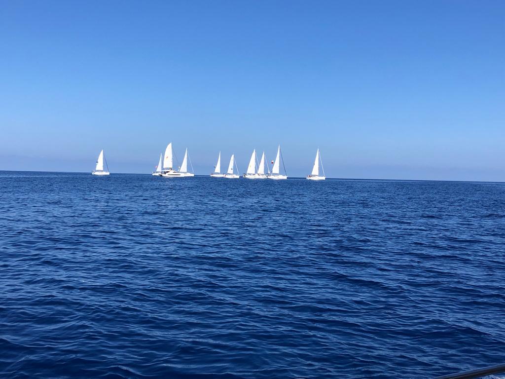 copa del rey de vela mallorca en julio