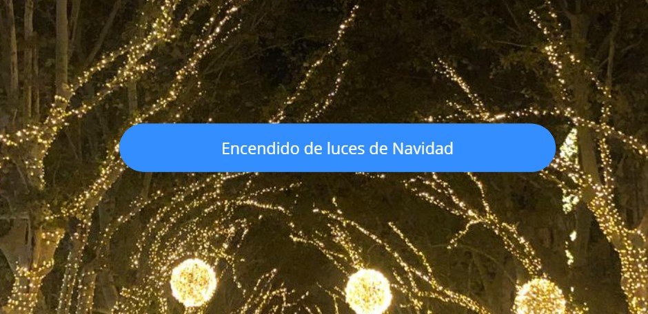 encendido de luces en palma