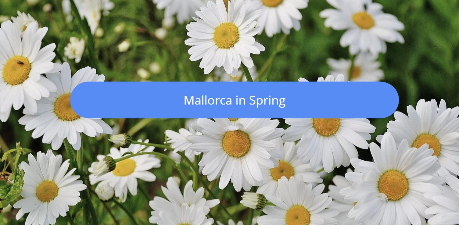 mallorca in spring